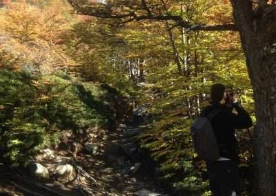 Caminata a las bases de las Torres